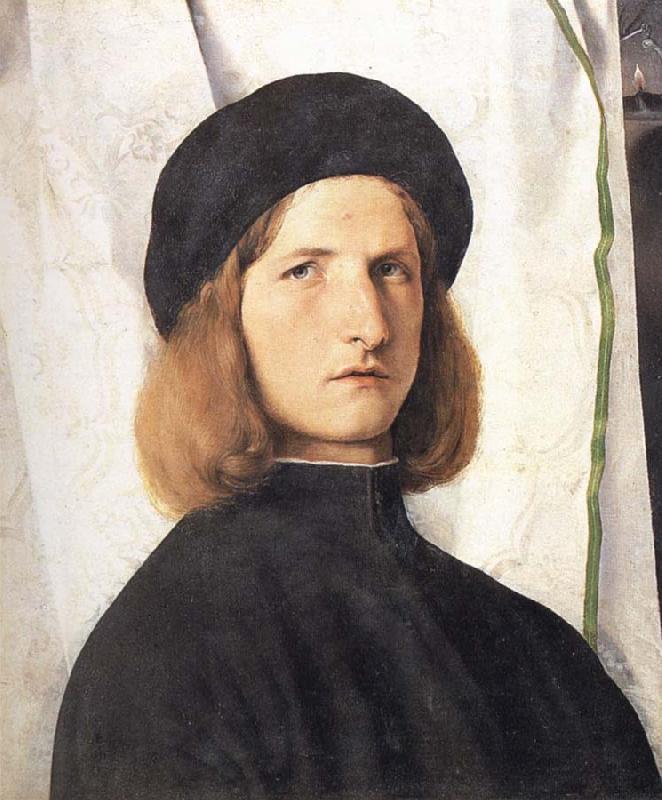 Lorenzo Lotto Portrait of a young man against a white curtain oil painting picture